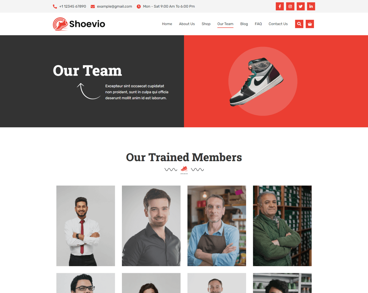 Shoevio Our Team